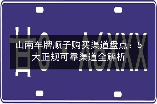 山南车牌顺子购买渠道盘点:5大正规可靠渠道全解析 第3张 山南车牌顺子购买渠道盘点:5大正规可靠渠道全解析 第3张