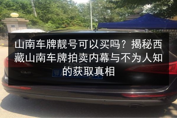 山南车牌靓号可以买吗？揭秘西藏山南车牌拍卖内幕与不为人知的获取真相 第3张
