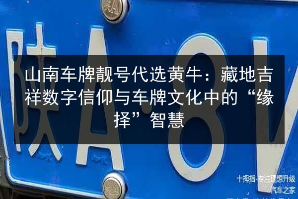 山南车牌靓号代选黄牛:藏地吉祥数字信仰与车牌文化中的“缘择”智慧 第2张 山南车牌靓号代选黄牛:藏地吉祥数字信仰与车牌文化中的“缘择”智慧 第2张