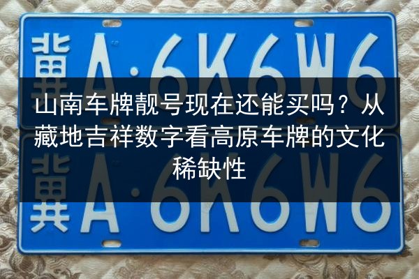 山南车牌靓号现在还能买吗?从藏地吉祥数字看高原车牌的文化稀缺性 第1张 山南车牌靓号现在还能买吗?从藏地吉祥数字看高原车牌的文化稀缺性 第1张
