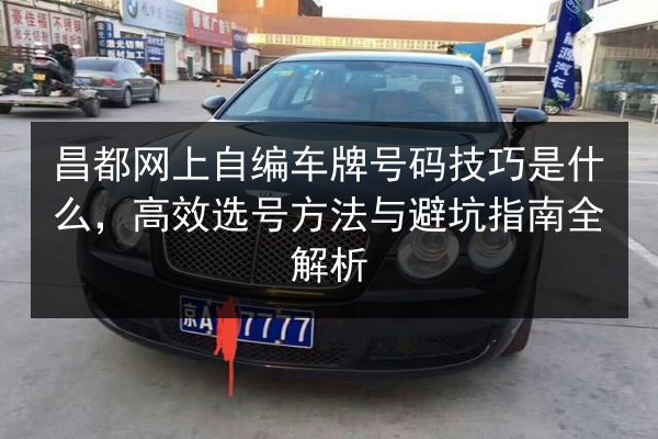 昌都网上自编车牌号码技巧是什么,高效选号方法与避坑指南全解析 第2张 昌都网上自编车牌号码技巧是什么,高效选号方法与避坑指南全解析 第2张
