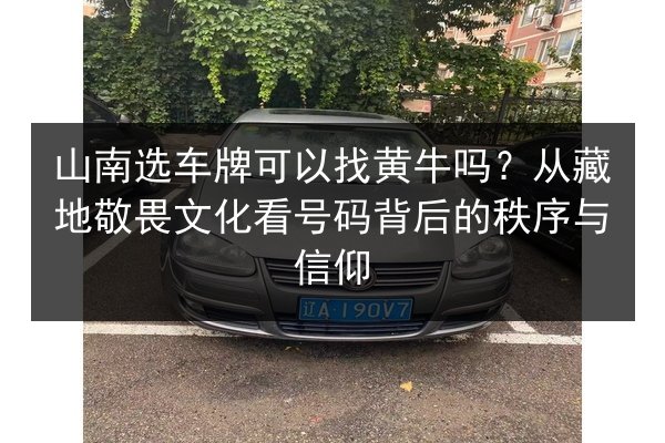山南选车牌可以找黄牛吗？从藏地敬畏文化看号码背后的秩序与信仰 第2张