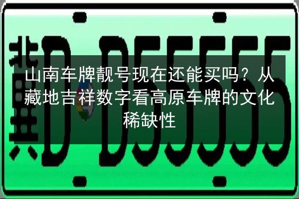 山南车牌靓号现在还能买吗?从藏地吉祥数字看高原车牌的文化稀缺性 第2张 山南车牌靓号现在还能买吗?从藏地吉祥数字看高原车牌的文化稀缺性 第2张