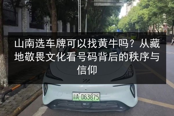 山南选车牌可以找黄牛吗？从藏地敬畏文化看号码背后的秩序与信仰 第3张