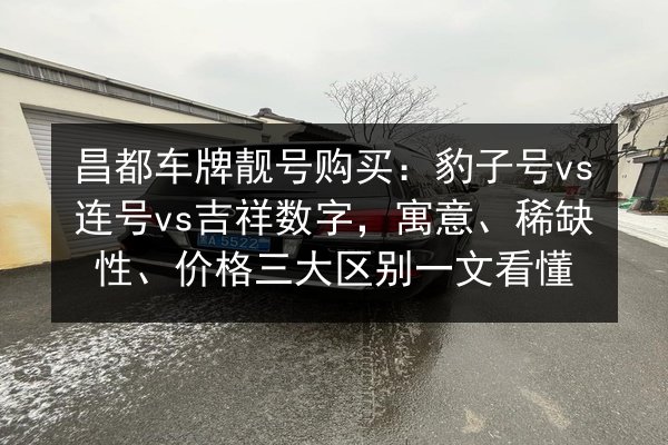 昌都车牌靓号购买：豹子号vs连号vs吉祥数字，寓意、稀缺性、价格三大区别一文看懂 第2张