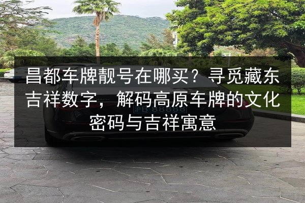 昌都车牌靓号在哪买?寻觅藏东吉祥数字,解码高原车牌的文化密码与吉祥寓意 第2张 昌都车牌靓号在哪买?寻觅藏东吉祥数字,解码高原车牌的文化密码与吉祥寓意 第2张