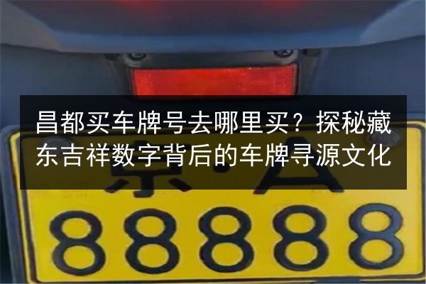 昌都买车牌号去哪里买?探秘藏东吉祥数字背后的车牌寻源文化 第2张 昌都买车牌号去哪里买?探秘藏东吉祥数字背后的车牌寻源文化 第2张