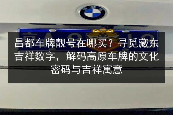 昌都车牌靓号在哪买?寻觅藏东吉祥数字,解码高原车牌的文化密码与吉祥寓意 第3张 昌都车牌靓号在哪买?寻觅藏东吉祥数字,解码高原车牌的文化密码与吉祥寓意 第3张