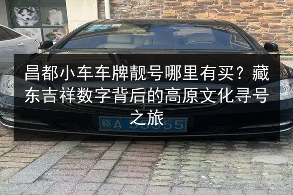 昌都小车车牌靓号哪里有买?藏东吉祥数字背后的高原文化寻号之旅 第2张 昌都小车车牌靓号哪里有买?藏东吉祥数字背后的高原文化寻号之旅 第2张
