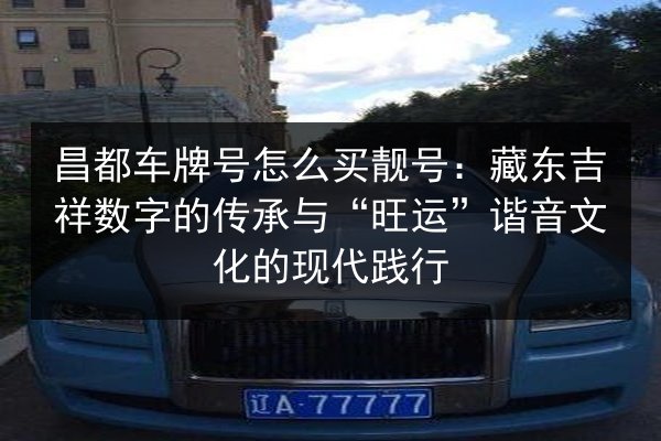 昌都车牌号怎么买靓号：藏东吉祥数字的传承与“旺运”谐音文化的现代践行 第2张