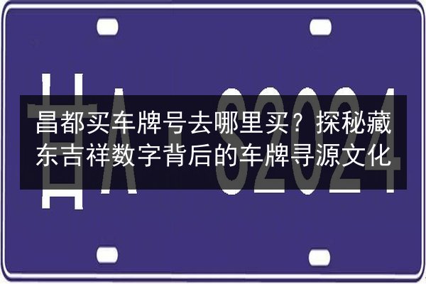 昌都买车牌号去哪里买?探秘藏东吉祥数字背后的车牌寻源文化 第3张 昌都买车牌号去哪里买?探秘藏东吉祥数字背后的车牌寻源文化 第3张