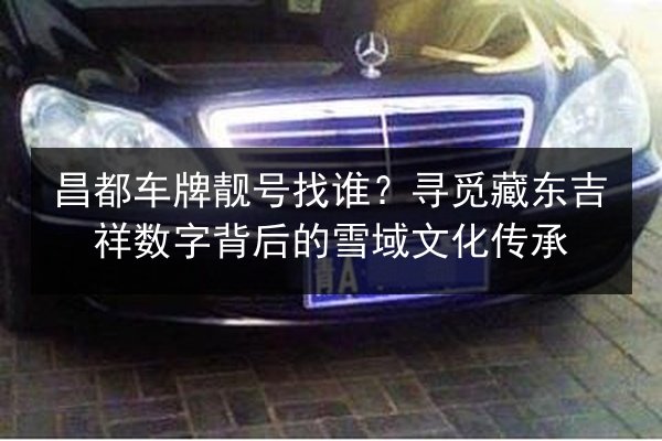 昌都车牌靓号找谁?寻觅藏东吉祥数字背后的雪域文化传承 第3张 昌都车牌靓号找谁?寻觅藏东吉祥数字背后的雪域文化传承 第3张