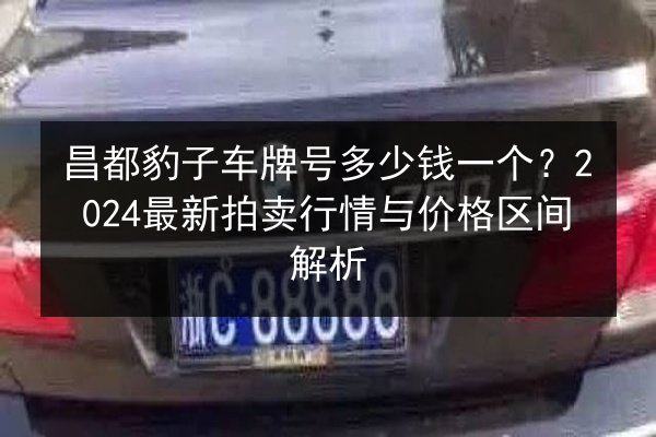 昌都豹子车牌号多少钱一个？2024最新拍卖行情与价格区间解析 第3张