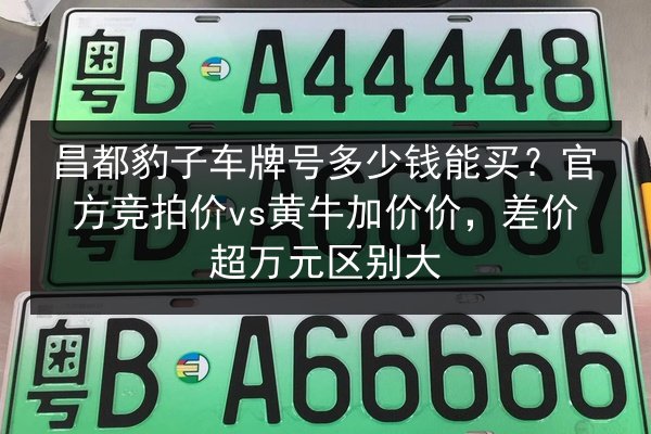 昌都豹子车牌号多少钱能买?官方竞拍价vs黄牛加价价,差价超万元区别大 第2张 昌都豹子车牌号多少钱能买?官方竞拍价vs黄牛加价价,差价超万元区别大 第2张