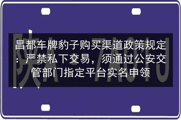昌都车牌豹子购买渠道政策规定:严禁私下交易,须通过公安交管部门指定平台实名申领 第2张 昌都车牌豹子购买渠道政策规定:严禁私下交易,须通过公安交管部门指定平台实名申领 第2张