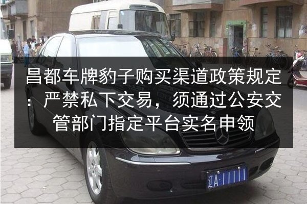 昌都车牌豹子购买渠道政策规定:严禁私下交易,须通过公安交管部门指定平台实名申领 第3张 昌都车牌豹子购买渠道政策规定:严禁私下交易,须通过公安交管部门指定平台实名申领 第3张