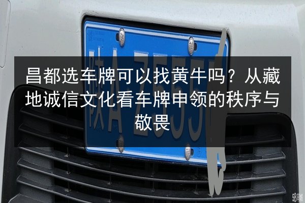 昌都选车牌可以找黄牛吗?从藏地诚信文化看车牌申领的秩序与敬畏 第2张 昌都选车牌可以找黄牛吗?从藏地诚信文化看车牌申领的秩序与敬畏 第2张