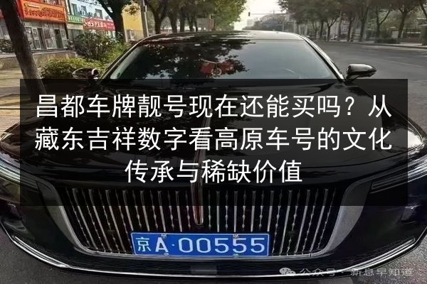 昌都车牌靓号现在还能买吗?从藏东吉祥数字看高原车号的文化传承与稀缺价值 第3张 昌都车牌靓号现在还能买吗?从藏东吉祥数字看高原车号的文化传承与稀缺价值 第3张