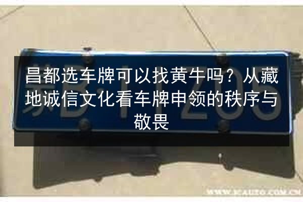 昌都选车牌可以找黄牛吗?从藏地诚信文化看车牌申领的秩序与敬畏 第3张 昌都选车牌可以找黄牛吗?从藏地诚信文化看车牌申领的秩序与敬畏 第3张
