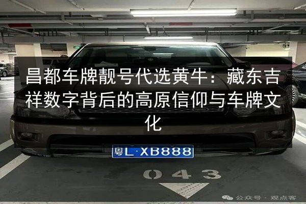 昌都车牌靓号代选黄牛：藏东吉祥数字背后的高原信仰与车牌文化 第2张