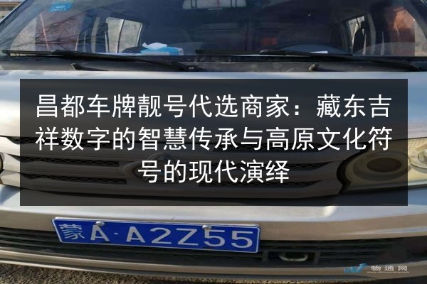 昌都车牌靓号代选商家:藏东吉祥数字的智慧传承与高原文化符号的现代演绎 第2张 昌都车牌靓号代选商家:藏东吉祥数字的智慧传承与高原文化符号的现代演绎 第2张