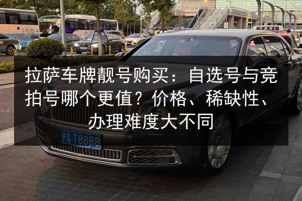 拉萨车牌靓号购买:自选号与竞拍号哪个更值?价格、稀缺性、办理难度大不同 第2张 拉萨车牌靓号购买:自选号与竞拍号哪个更值?价格、稀缺性、办理难度大不同 第2张