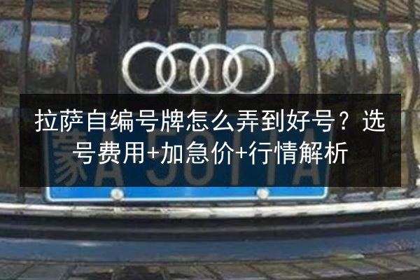 拉萨自编号牌怎么弄到好号？选号费用+加急价+行情解析 第2张