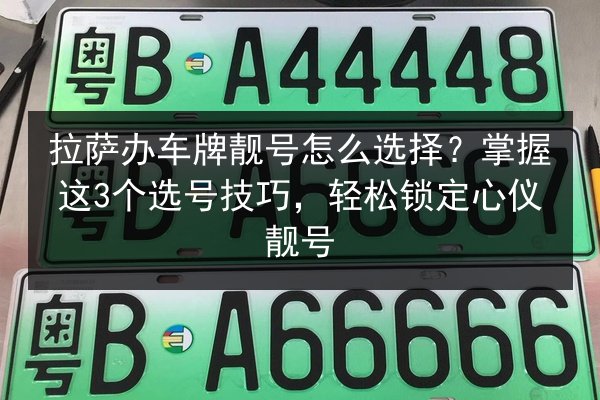 拉萨办车牌靓号怎么选择？掌握这3个选号技巧，轻松锁定心仪靓号