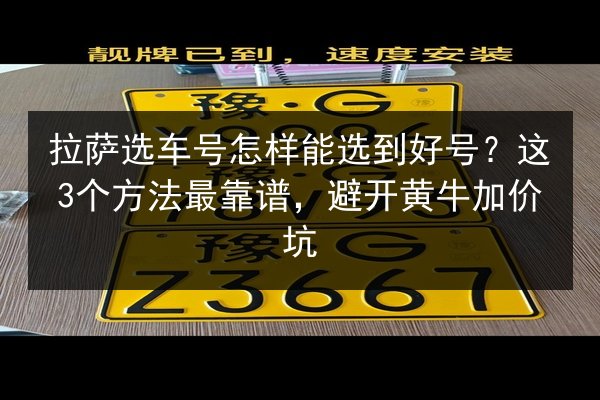 拉萨选车号怎样能选到好号？这3个方法最靠谱，避开黄牛加价坑 第3张