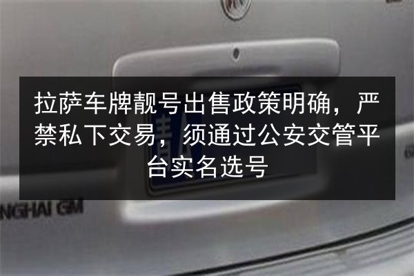 拉萨车牌靓号出售政策明确，严禁私下交易，须通过公安交管平台实名选号 第2张