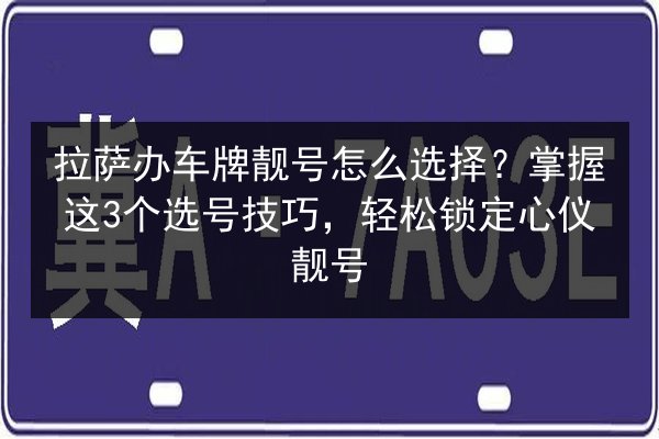 拉萨办车牌靓号怎么选择？掌握这3个选号技巧，轻松锁定心仪靓号 第2张