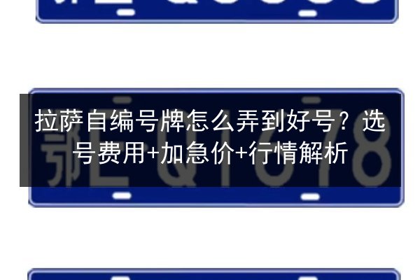 拉萨自编号牌怎么弄到好号？选号费用+加急价+行情解析 第3张