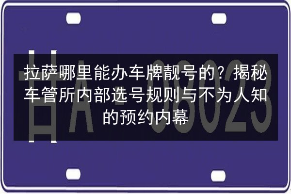 拉萨哪里能办车牌靓号的?揭秘车管所内部选号规则与不为人知的预约内幕 第2张 拉萨哪里能办车牌靓号的?揭秘车管所内部选号规则与不为人知的预约内幕 第2张