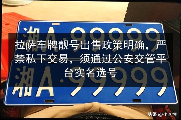 拉萨车牌靓号出售政策明确，严禁私下交易，须通过公安交管平台实名选号 第3张