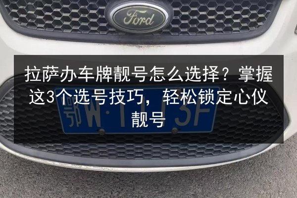 拉萨办车牌靓号怎么选择？掌握这3个选号技巧，轻松锁定心仪靓号 第3张