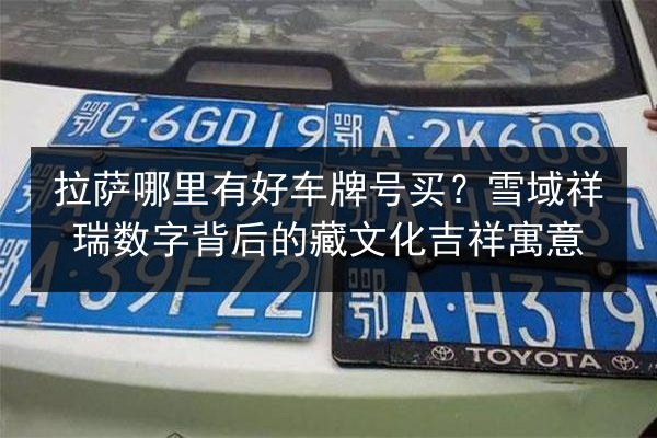 拉萨哪里有好车牌号买？雪域祥瑞数字背后的藏文化吉祥寓意 第2张