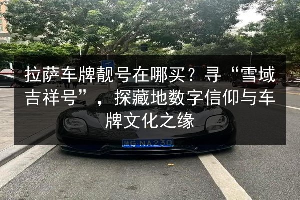 拉萨车牌靓号在哪买？寻“雪域吉祥号”，探藏地数字信仰与车牌文化之缘 第2张