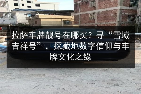 拉萨车牌靓号在哪买？寻“雪域吉祥号”，探藏地数字信仰与车牌文化之缘 第3张