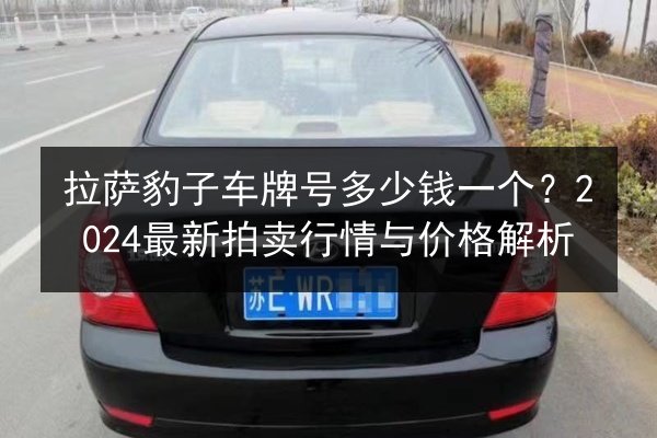 拉萨豹子车牌号多少钱一个？2024最新拍卖行情与价格解析 第3张