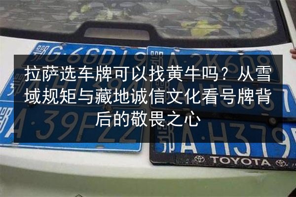 拉萨选车牌可以找黄牛吗？从雪域规矩与藏地诚信文化看号牌背后的敬畏之心 第1张