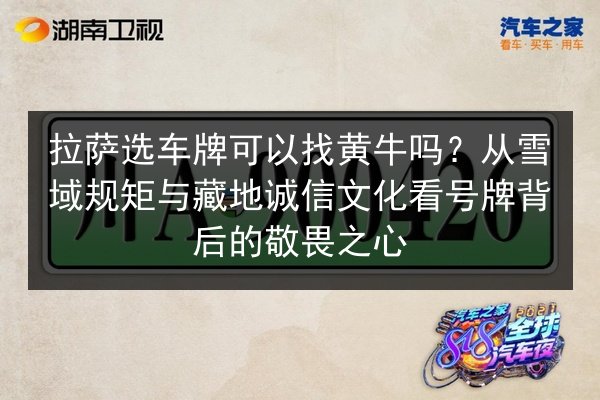 拉萨选车牌可以找黄牛吗？从雪域规矩与藏地诚信文化看号牌背后的敬畏之心 第2张