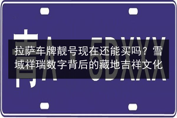 拉萨车牌靓号现在还能买吗?雪域祥瑞数字背后的藏地吉祥文化 第2张 拉萨车牌靓号现在还能买吗?雪域祥瑞数字背后的藏地吉祥文化 第2张