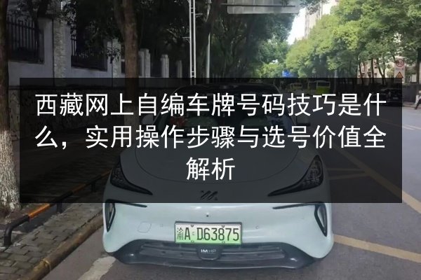 西藏网上自编车牌号码技巧是什么,实用操作步骤与选号价值全解析 第2张 西藏网上自编车牌号码技巧是什么,实用操作步骤与选号价值全解析 第2张