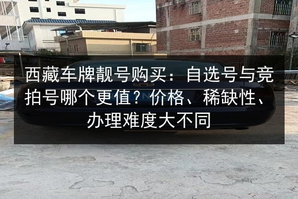 西藏车牌靓号购买：自选号与竞拍号哪个更值？价格、稀缺性、办理难度大不同 第2张