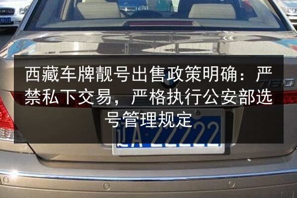 西藏车牌靓号出售政策明确：严禁私下交易，严格执行公安部选号管理规定 第2张