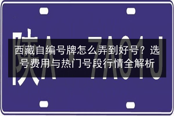 西藏自编号牌怎么弄到好号?选号费用与热门号段行情全解析 第3张 西藏自编号牌怎么弄到好号?选号费用与热门号段行情全解析 第3张