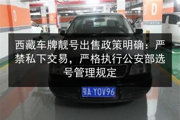 西藏车牌靓号出售政策明确：严禁私下交易，严格执行公安部选号管理规定 第3张