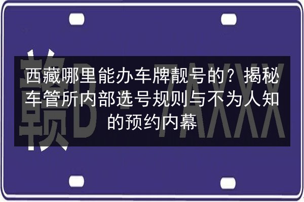 西藏哪里能办车牌靓号的?揭秘车管所内部选号规则与不为人知的预约内幕 第2张 西藏哪里能办车牌靓号的?揭秘车管所内部选号规则与不为人知的预约内幕 第2张