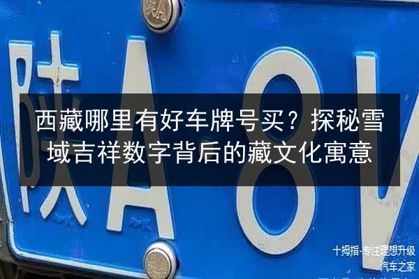 西藏哪里有好车牌号买？探秘雪域吉祥数字背后的藏文化寓意