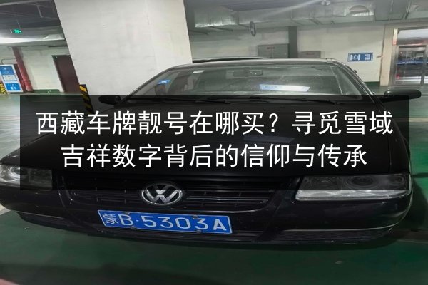 西藏车牌靓号在哪买？寻觅雪域吉祥数字背后的信仰与传承
